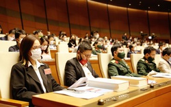 GS.TSKH Vũ Minh Giang: “Tâm lý bình quân, cào bằng có hại cho sự phát triển văn hóa”