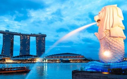 Thương mại điện tử Singapore và sự khác biệt với thị trường Đông Nam Á