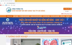 Đà Nẵng: Thành lập Cổng thông tin Khởi nghiệp đổi mới sáng tạo, giải đáp mọi thắc mắc cho cộng đồng khởi nghiệp