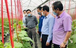 Bắc Ninh: Nông dân làm giàu nhờ phát triển kinh tế trang trại