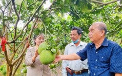 Một tỷ phú nông dân tỉnh An Giang 2 lần được tôn vinh "Nông dân Việt Nam xuất sắc", vì sao vậy?