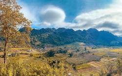 Quỹ Bảo tồn động thực vật hoang dã Việt Nam được thành lập với tài sản ban đầu là 6,5 tỷ đồng