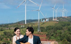 Triển vọng điểm đến du lịch điện gió Quảng Trị