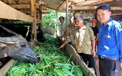 Hà Giang: Nông dân Việt Nam xuất sắc 2021 là người dân tộc Dao hiến 3.500 m2 đất để làm điều bất ngờ này