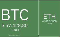 Giá Bitcoin hôm nay 29/11: Bitcoin, Altcoin phục hồi sau kỳ Black Friday