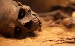 Các nhà khảo cổ kinh hoàng trước bí mật 1.000 năm tuổi của nền văn minh Peru