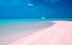 Bãi biển màu hồng phấn lãng mạn bậc nhất thế giới