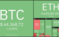 Giá Bitcoin hôm nay 8/11: Đầu tuần khởi sắc, Solana lên top 4 đồng tiền điện tử lớn nhất thế giới