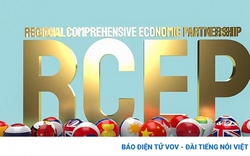 Hiệp định RCEP có hiệu lực từ ngày 1/1/2022, hướng tới thị trường 2,2 tỷ người tiêu dùng