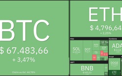 Giá Bitcoin hôm nay 9/11: Bitcoin đạt đỉnh mới, vốn hoá toàn thị trường vượt mốc 3.000 tỷ USD