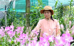 Nông dân Việt Nam xuất sắc năm 2021 tiếc nuối vì không thể về Thủ đô họp mặt