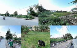 Quảng Ngãi:
Hàng chục ngàn m2 "đất vàng" ở trung tâm thành phố bị bỏ hoang 
