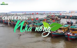 Chuyển động Nhà nông 10/12: Việt Nam quyết liệt để gỡ "thẻ vàng" IUU