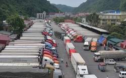 Hàng nghìn container nông sản kẹt tại cửa khẩu Việt - Trung