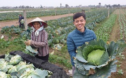 Nam Định: Tăng giám sát, phản biện để bảo vệ quyền lợi của nông dân