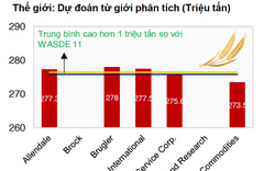 Giới đầu tư thận trọng khi USDA sắp công bố báo cáo cung - cầu nông sản thế giới tháng 12/2021