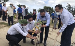 Khánh Hòa: Trồng trên 12 triệu cây xanh ứng phó với biến đổi khí hậu
