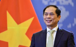 Ngoại giao Việt Nam góp phần xây dựng cơ đồ, tiềm lực, vị thế và uy tín quốc tế đất nước