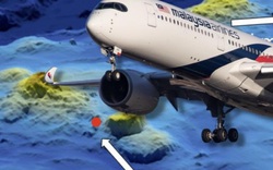 MH370: Phát hiện mới được đón nhận bất ngờ