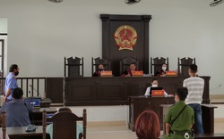 Vụ hai cha con nông dân vướng lao lý ở Ninh Thuận: Luật sư phân tích vai trò của ông Lê Mạnh Hà