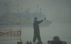 Đà Nẵng cấm tàu thuyền ra khơi để ứng phó bão RAI