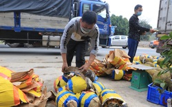 Xe chở nông sản XK sang Trung Quốc ùn ứ ở Lạng Sơn: Chủ xe dỡ hàng bán tháo, mong gỡ gạc phần nào