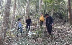 Chi trả dịch vụ môi trường rừng ở Lai Châu: Tạo đà xây dựng nông thôn mới 