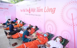 PC Quảng Nam: Hơn 100 đơn vị máu được hiến tặng từ Chương trình Tuần lễ hồng EVN lần thứ VII