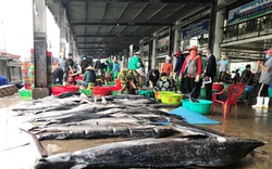Bão số 9 vào biển Đông, dân Khánh Hòa hối hả bán hải sản chạy bão