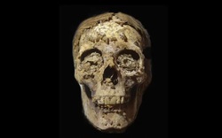 Tìm thấy xác ướp có lưỡi bằng vàng bên trong ngôi mộ 2.500 năm tuổi ở Ai Cập