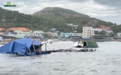 Video: Bão số 9 cuốn trôi hàng trăm lồng nuôi thủy sản ở Khánh Hòa, thiệt hại hàng tỷ đồng