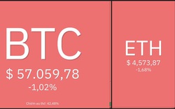 Giá Bitcoin hôm nay 2/12: Bitcoin giảm về ngưỡng 57.000 USD, một số Altcoin tạo đỉnh