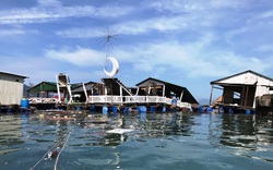 Hậu bão số 9 ở Khánh Hòa: Tan nát lồng bè thủy hải sản, thiệt hại hàng trăm tỷ đồng