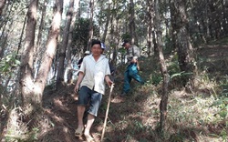 Nông thôn Tây Bắc: Lản Nhì Thàng quyết bảo vệ rừng