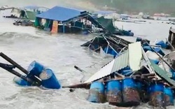Thiệt hại bão số 9: 1 người chết, 5 tàu cá bị chìm, gãy 2 cột đo gió, 120 lồng, bè nuôi tôm thiệt hại