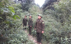 Nông thôn Tây Bắc: Lai Châu làm tốt dịch vụ môi trường rừng