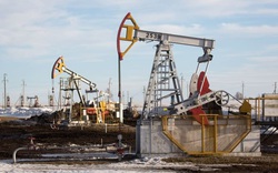 Giá dầu thế giới đảo chiều tăng mạnh