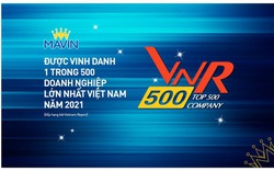 Mavin tiếp tục được vinh danh trong TOP 500 doanh nghiệp lớn nhất Việt Nam