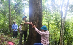 Không hút thuốc bởi yêu rừng, yêu mình