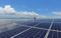 Nhượng vốn ở nhiều công ty năng lượng, KOSY tiếp tục nghiên cứu dự án điện mặt trời tại Tịnh Biên