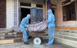 Ninh Bình: "Kê" khống 1,4 tấn lợn tiêu hủy do dịch tả châu Phi, cán bộ thú y xã và huyện bị điều tra 