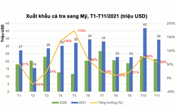 Phó tổng thư ký VASEP: Xuất khẩu cá tra sang Mỹ năm 2022 sẽ không còn bùng nổ như năm nay