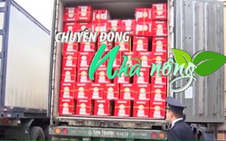 Chuyển động Nhà nông 29/12: Trung Quốc có thể sẽ tạm dừng tiếp nhận mặt hàng thanh long của Việt Nam