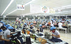 Đà Nẵng: Thưởng Tết Nguyên đán cao nhất hơn 1,4 tỷ đồng