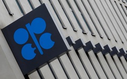 OPEC+ thống nhất tăng sản lượng vào năm sau, giá dầu tiếp tục đà phục hồi