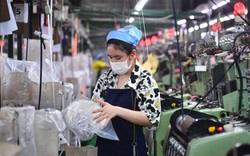 Ngân hàng Thế giới hỗ trợ Việt Nam phục hồi kinh tế 
