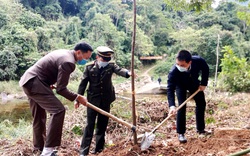 Bộ trưởng Lê Minh Hoan đề nghị kiểm tra, rà soát diện tích rừng bị phá, lấn chiếm sử dụng sai mục đích