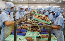 Phú Yên: Doanh nghiệp thưởng Tết từ 250.000 đồng đến 98 triệu đồng