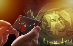 Giá Bitcoin giảm sâu rồi bật tăng, dấu hiệu thị trường tài chính toàn cầu đang bất ổn