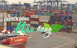 Chuyển động Nhà nông 5/12: Xuất khẩu Việt Nam lập kỷ lục bất chấp dịch Covid-19